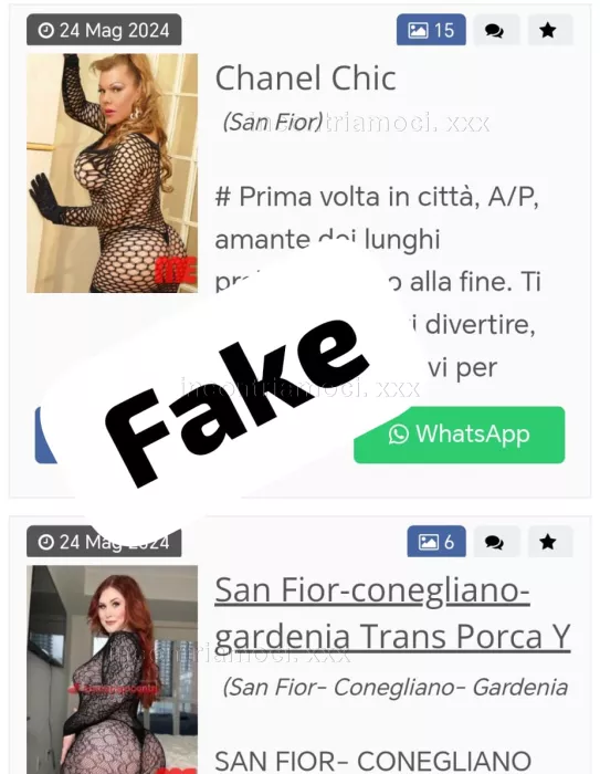 escort.it - Attenzione 🔴 FREGADURA VIA EUROPA🛑SAN FIOR 👎 🛑 CASA Bruciata 🔥🔥 TRUFFA🔥 Bruttissimo posto🔴 Attenzione Colombiano🛑 Sfruttardore di viados👎 fotografia FAKE fregatura 😡 Via Europa 😵 brutto posto sporcò 🔴
