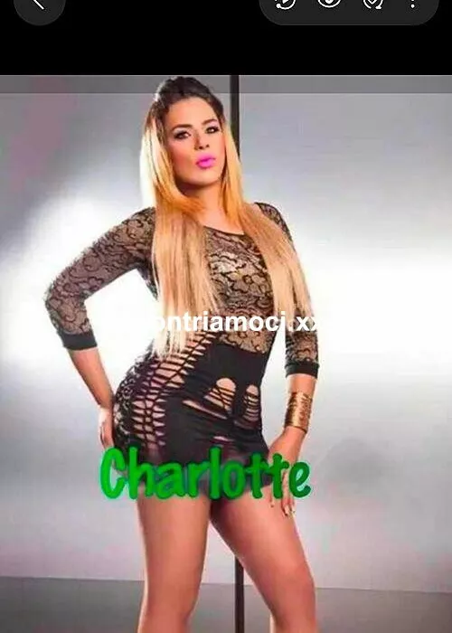 escort.it - Bella trans  CHARLOTTE arrivata a    NOVENTA DI PIAVE   ,  ATTIVA ANCHE PASSIVAS,  SENSUALE , VOGLIOSA ...TI ASPETTO  IN AMBIENTE PULITO HE RISERVATO.