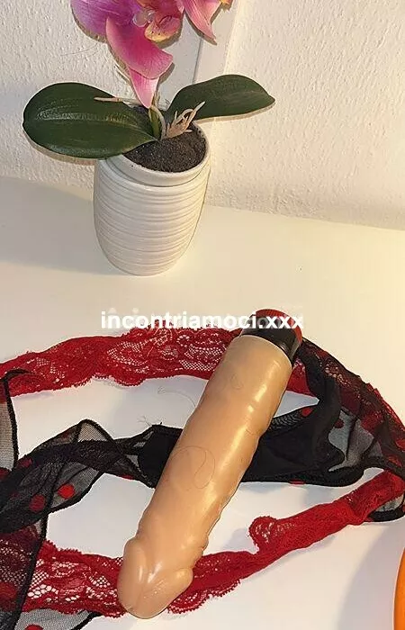 Foto di 3313378954