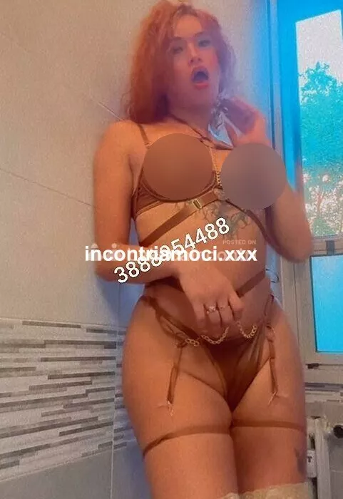 escort.it - BRUNELLA TRANS APPENA RITORNATA  SENZA LIMITI LA PIU TRASGRESSIVA TOP TRANSEX GIOVANE FOCOSA 
PORCA VIDEOCHIAMATA WEBCAM
