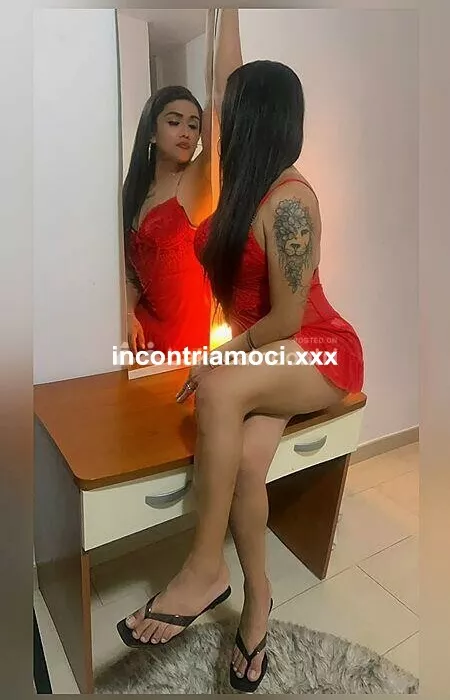 Foto di 3319537384