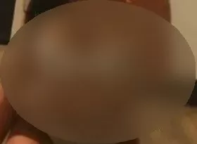 escort.it - ciao a tutti