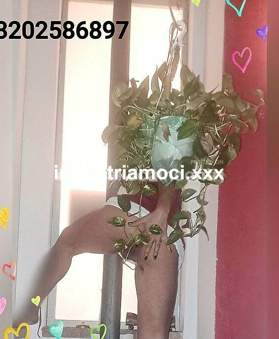Foto di 3202586897