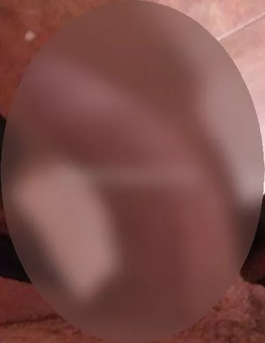 escort.it - DANIELA TRANS CERTOSA DI PAVIA .