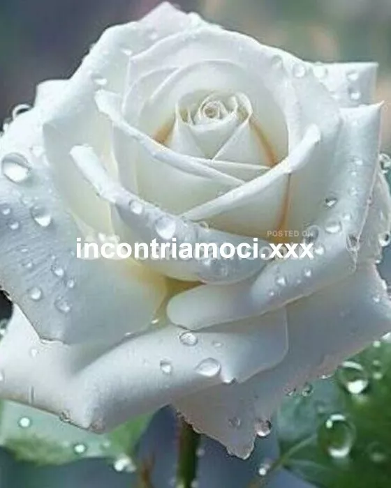 Foto di 3270710010