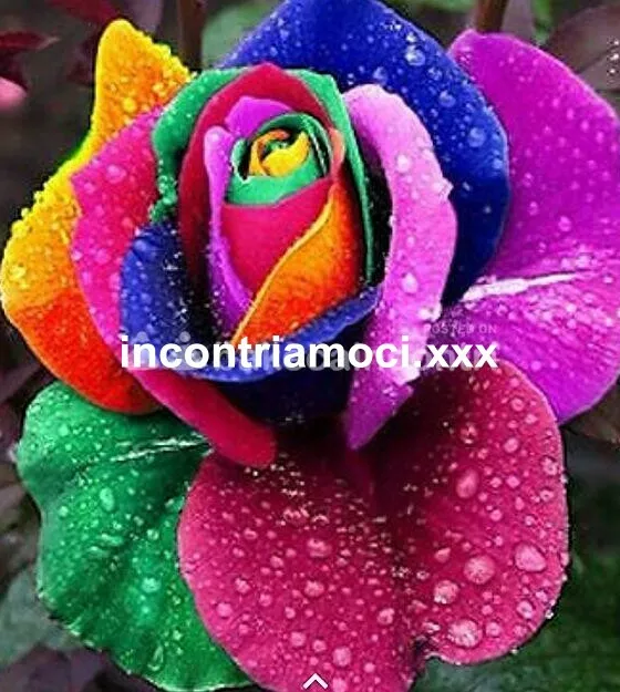 Foto di 3208894394