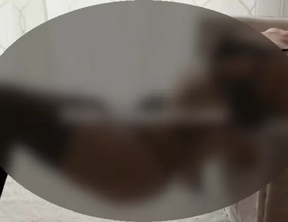Foto di 3277884682