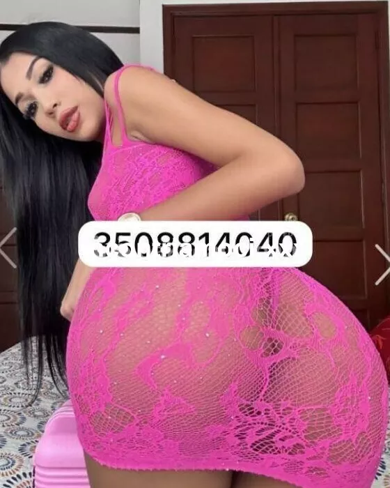 escort.it - MESTRE PIERINA TRANS APPPENA ARRIVATA..¦COMPLETISSIMA 🎀NOVITA DA NON PERDERE SEXY E HOT💋🔥💦
