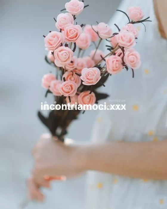 Foto di 3339677094