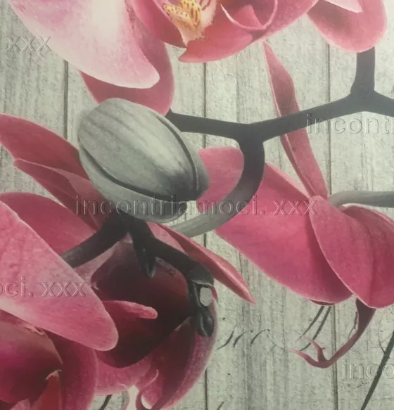 Foto di 3922563057