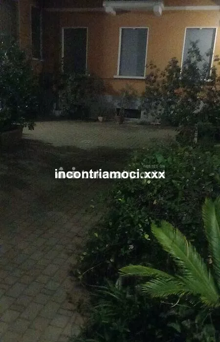 Foto di 3921959140