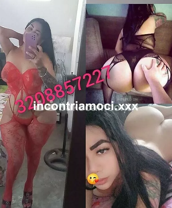 Foto di 3295567921