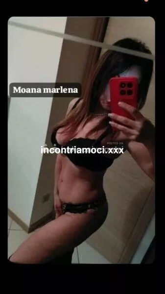 Foto di 3896391655