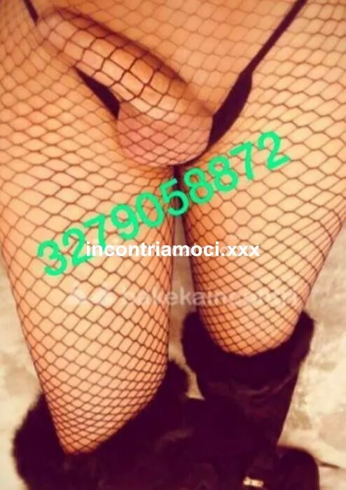Foto di 3279058872