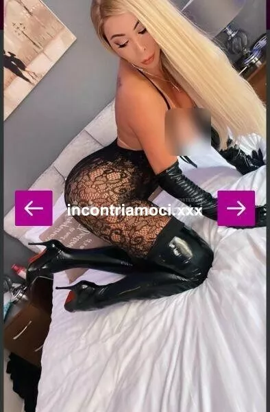 escort.it - ROBERTA APPENA ARRIVATA 🌷TRANS 🌷 ✨️🌷SENSUALE PASSIONALE 💘MOLTO CALDA