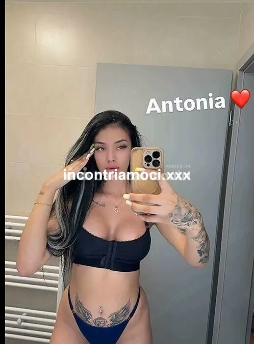Foto di 3295566616