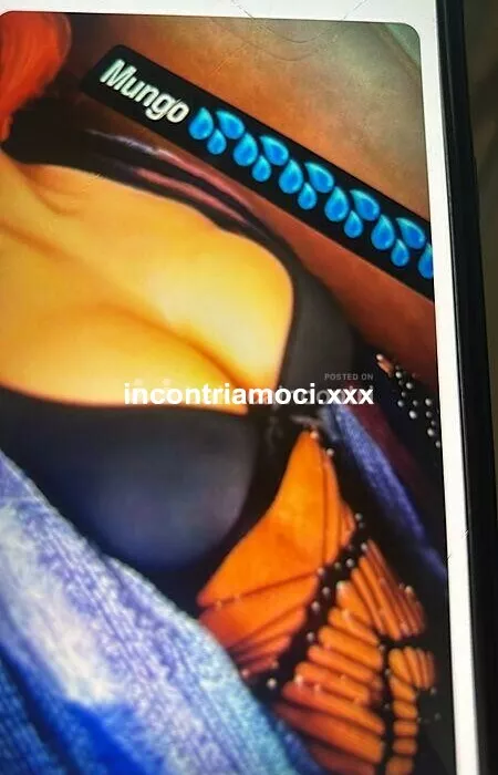 Foto di 3520790240