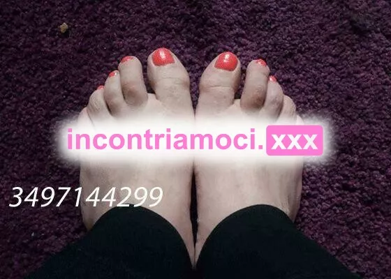 Foto di 3497144299