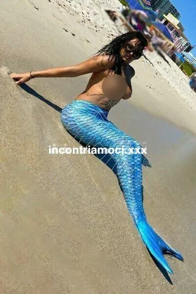 Foto di 3495516012