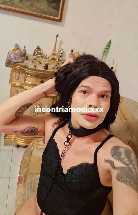 Foto di 3508211485