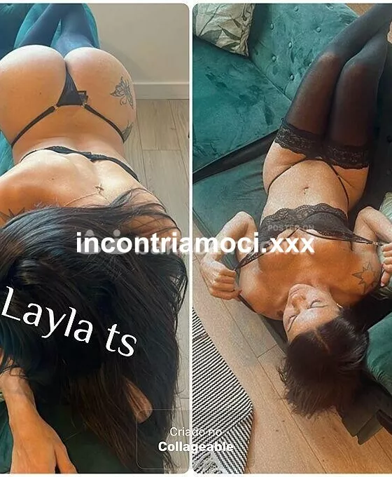 Foto di 3203588520