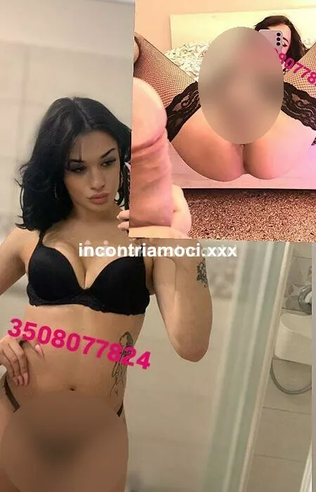 escort.it - ⚠️TRANI TORNATA A GRANDE RICHIESTA⚠️⭐️🇮🇹Morena trans🇮🇹⭐️una vera porcellina🐷XL molto ATTIVA ma anche passiva. Pronta a regalarti i migliori momenti de