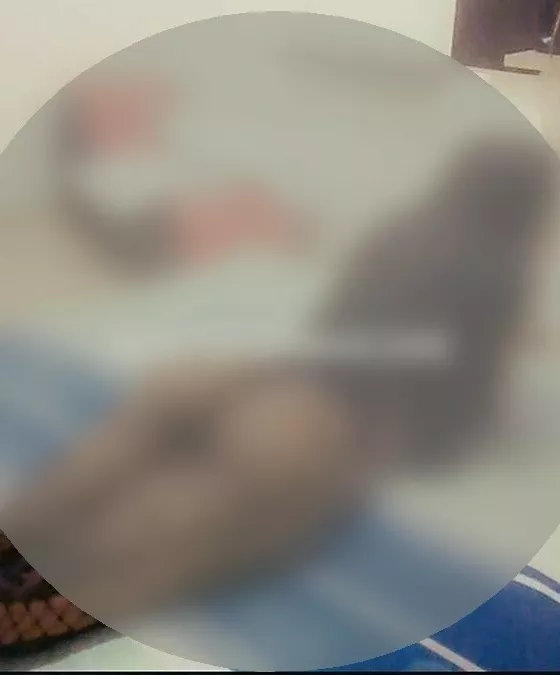 Foto di 3931973447