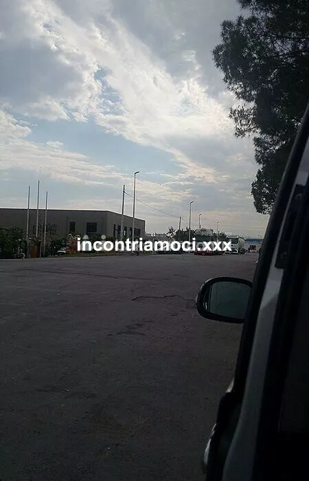 escort.it - 💥🎁🌹 💥 trav femm non improvvisata molto porca no limits al naturale ospito a novi ligure o raggiungox generosi x massaggi e sex no limits 💦💦
