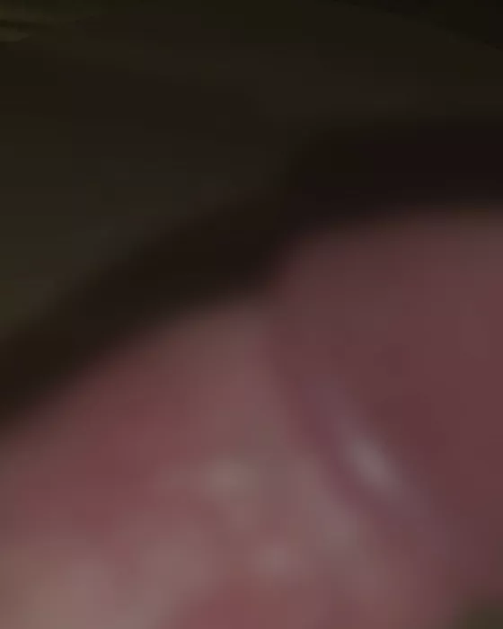 Foto di 3272710160