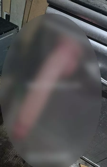 Foto di 3534378680
