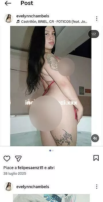Foto di 3508553669