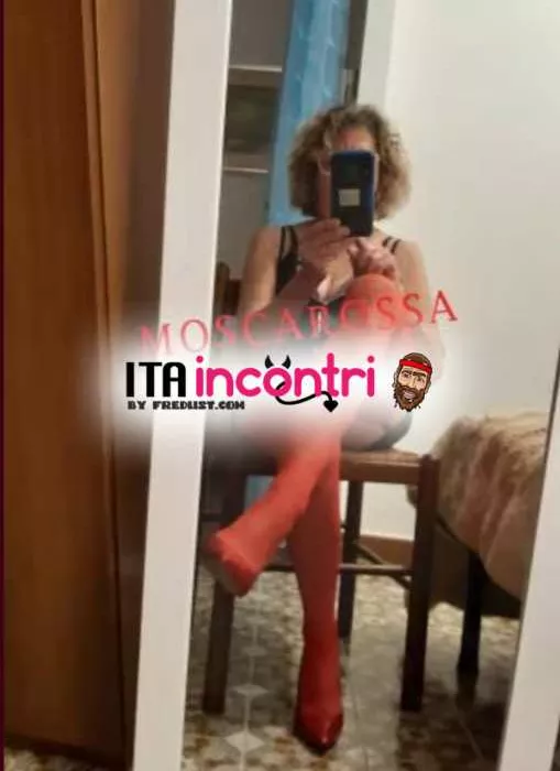 Foto di 3713419404