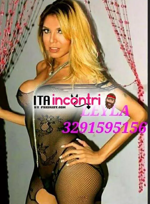 Foto di 3291595156