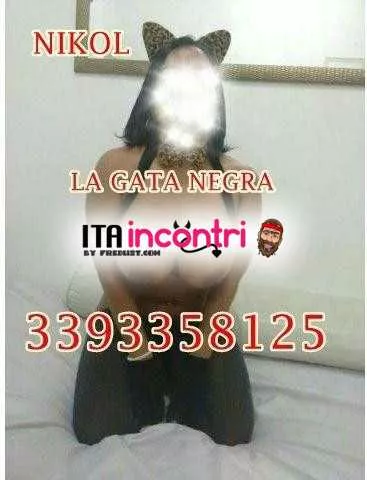 Foto di 3393358125