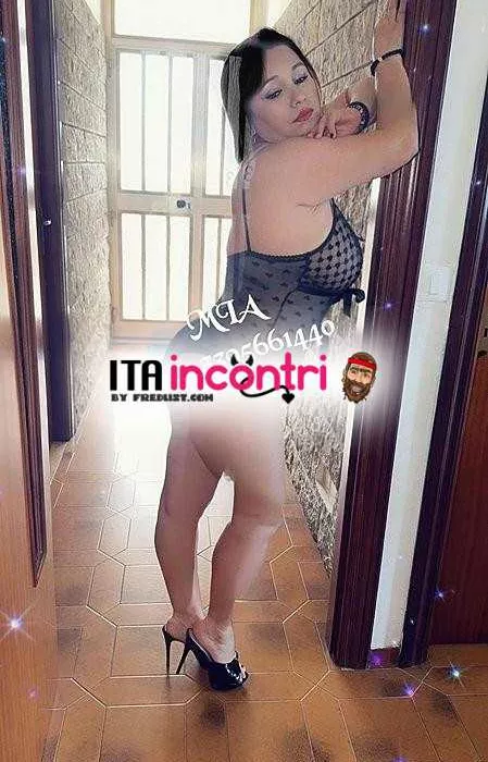 Foto di 3395661440