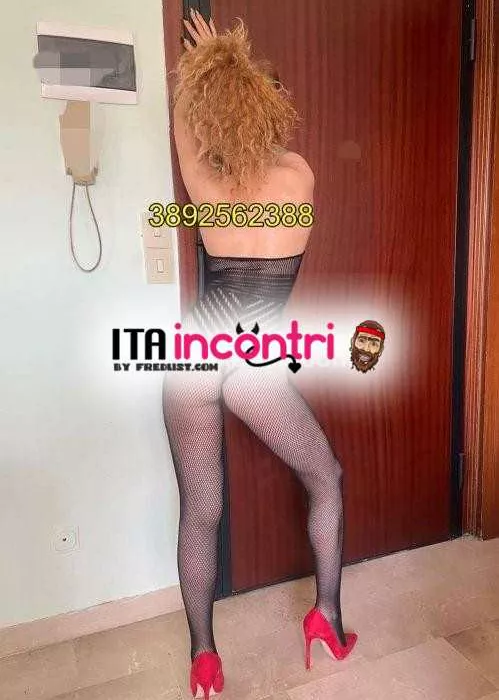 Foto di 3892562388