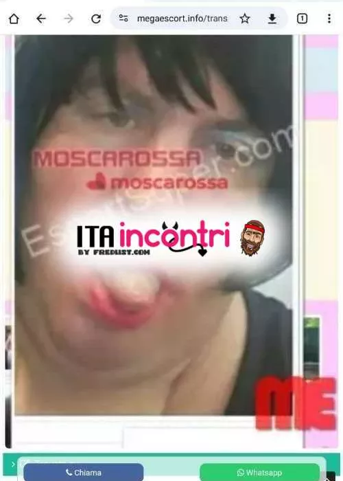 Foto di 3317647365