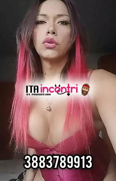 escort.it - ❤‍🔥❤‍🔥❤‍🔥LA TIGRE E TORNATA 💥💥💥FOTO 100 X 100 *** 💦💦💦ATTIVA, PASSIVA UNA VERA CAVALLA TUTTA DA MONTARE CON UNA MAZZA DURA E PIENA DA LATTE💦💦💦