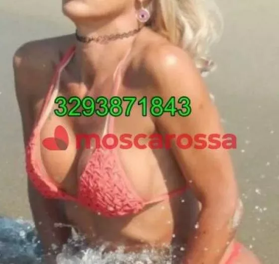 Foto di 3293871843