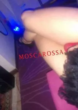 Foto di 3468942481