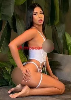 Foto di 3511103306