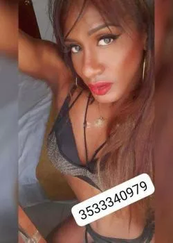 Foto di 3533340979