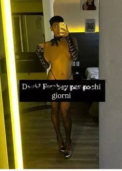 Foto di 3341308881