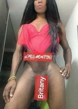 Foto di 3793404736