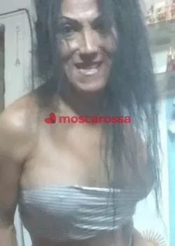 Foto di 3341309286