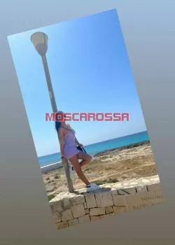 Foto di 3396975746