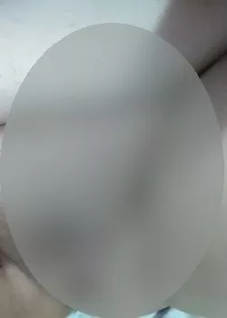 Foto di 3281742167