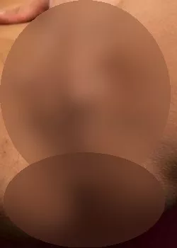 Foto di 3510362452
