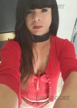 escort.it - Bella Trans Roberta Attiva XXL in zona..NOVARA