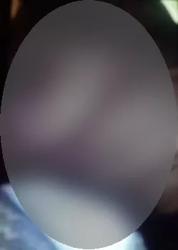 Foto di 3703197023